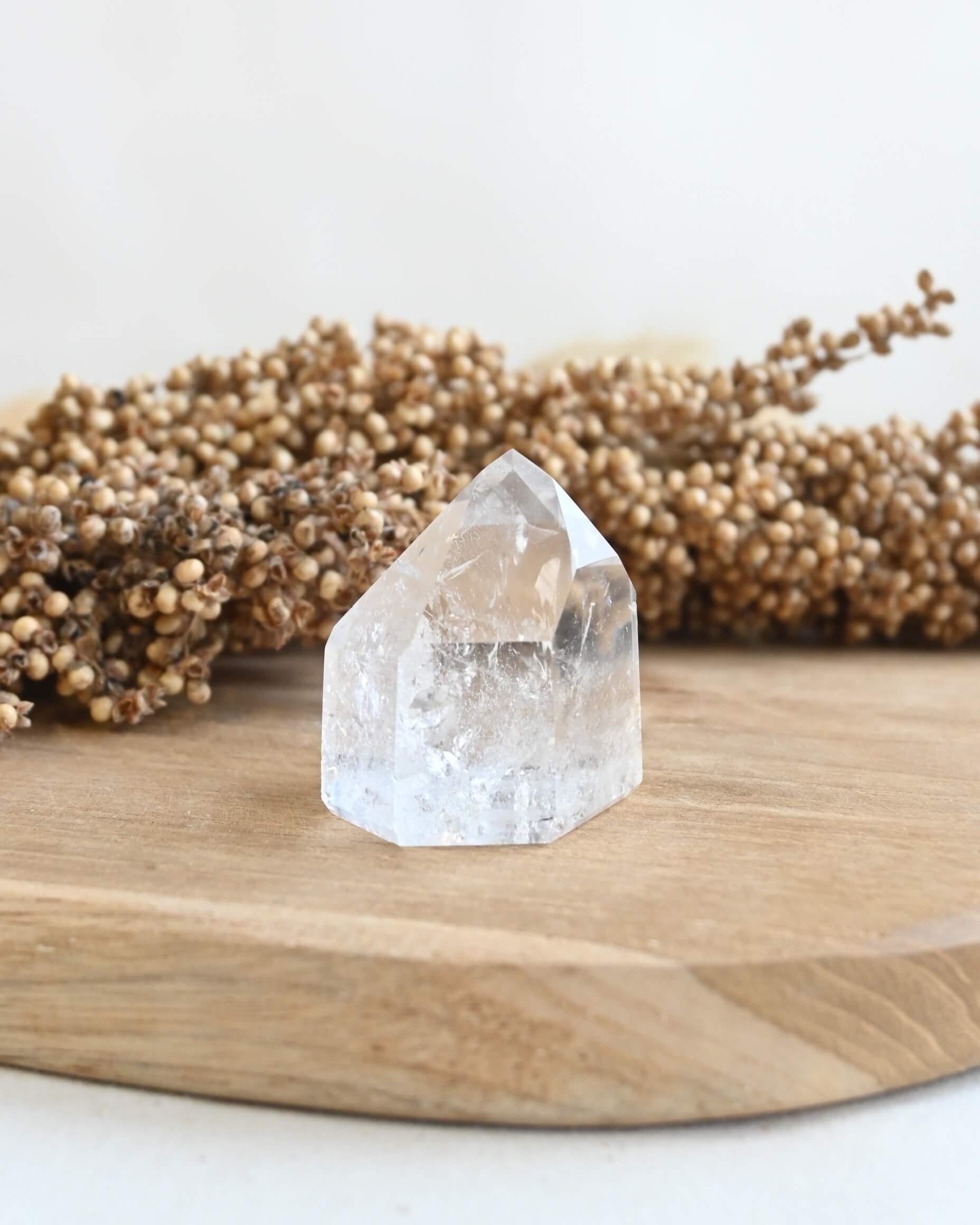 Punta de Cuarzo cristal | Amplificación de la energía