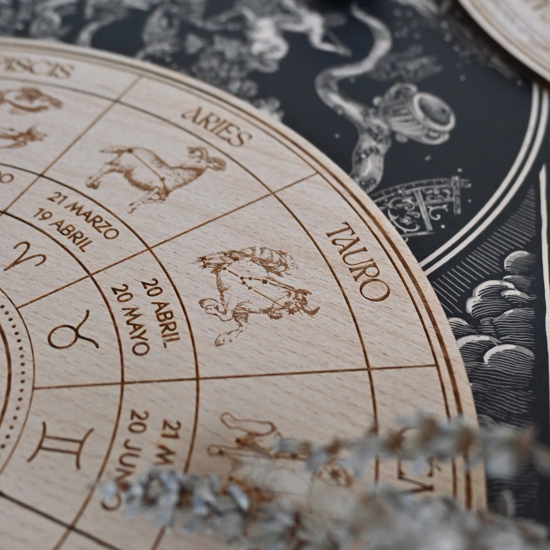 Rueda astrológica - Mapa del Cielo Interior