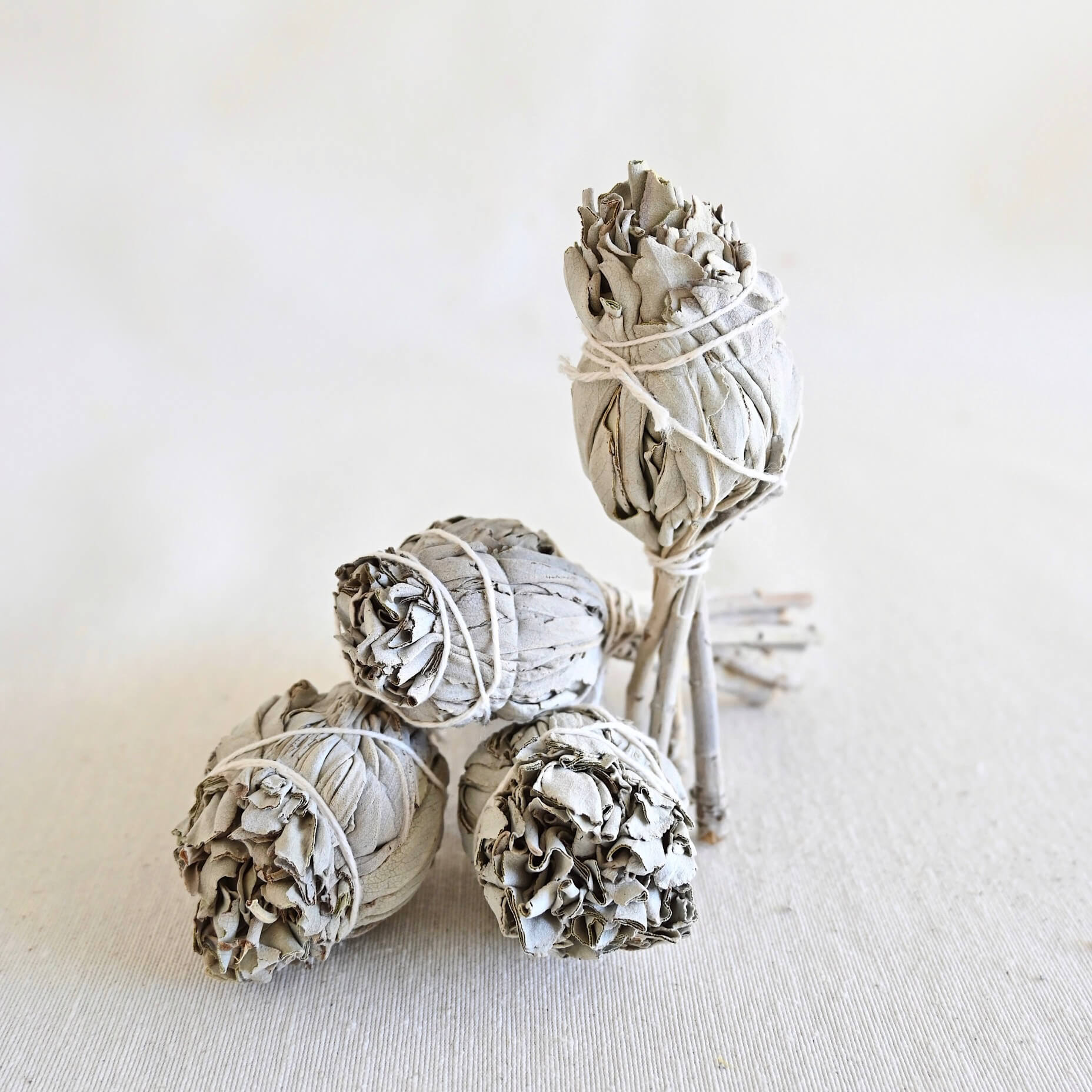 Antorcha Salvia Blanca California - Purificación ancestral, conexión sagrada