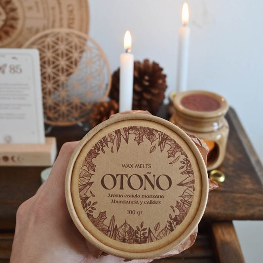 Wax melts artesanales | Manzana canela - Abundancia & calidez