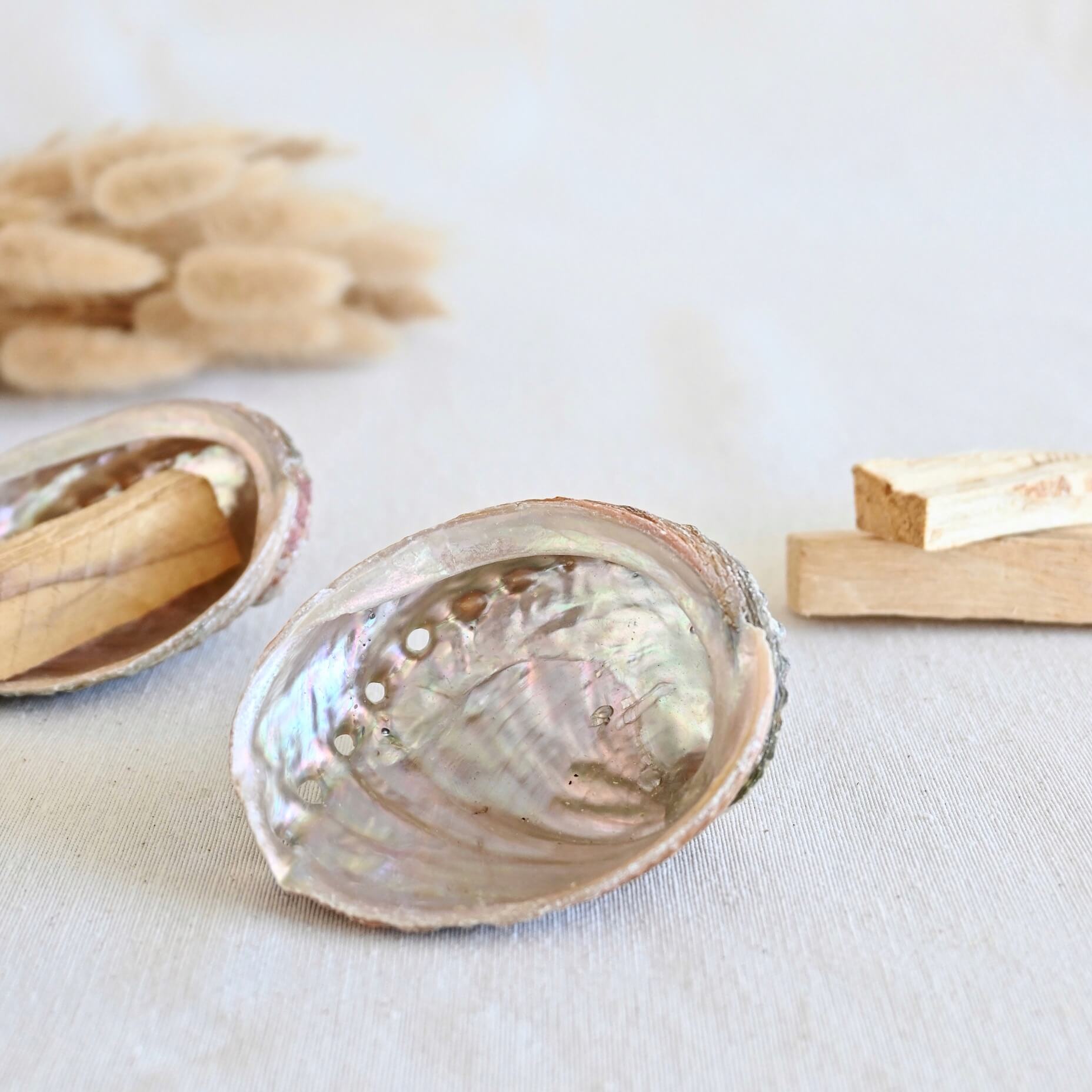 Concha de Abalón roscado grande – Elemento Agua