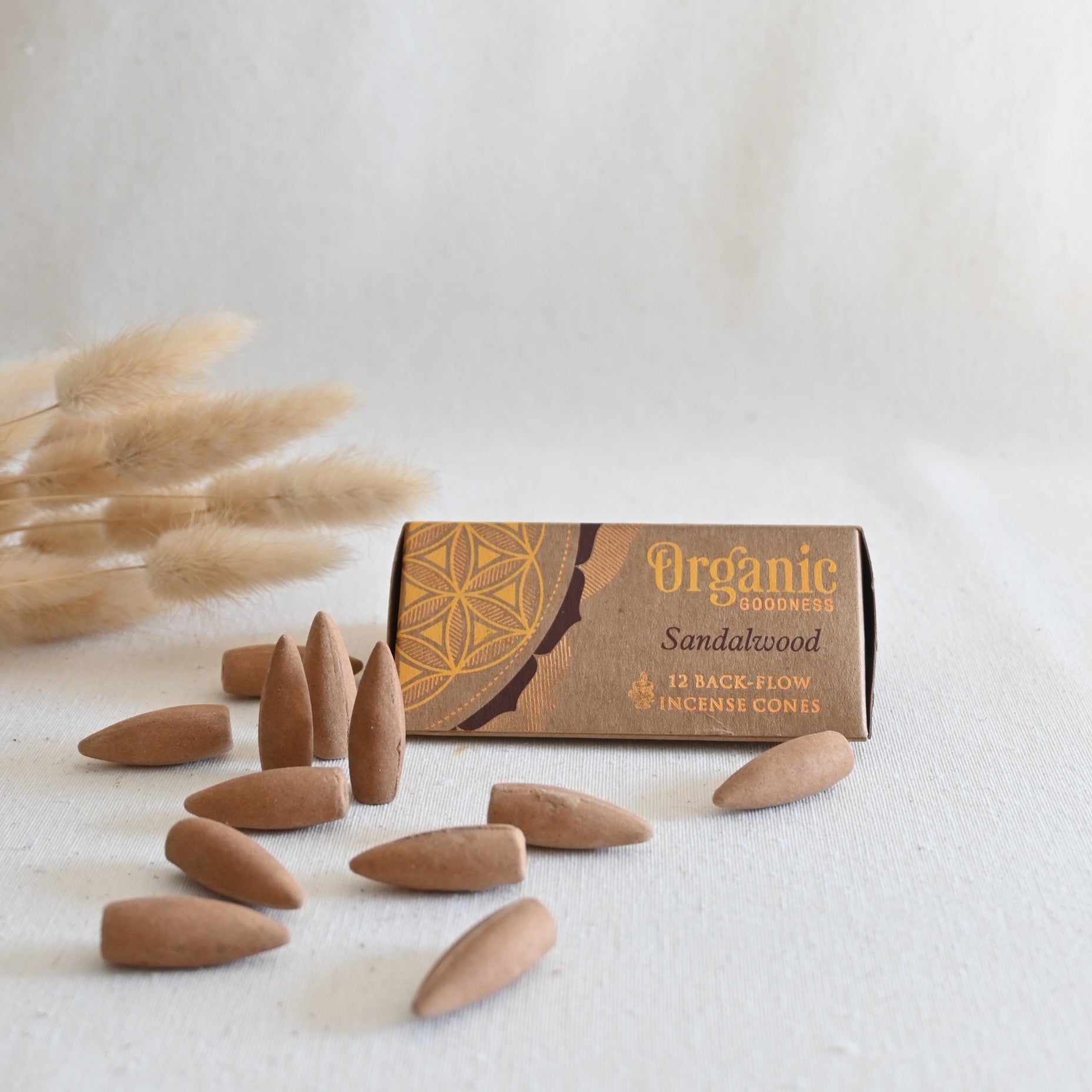 Conos de reflujo - Sándalo