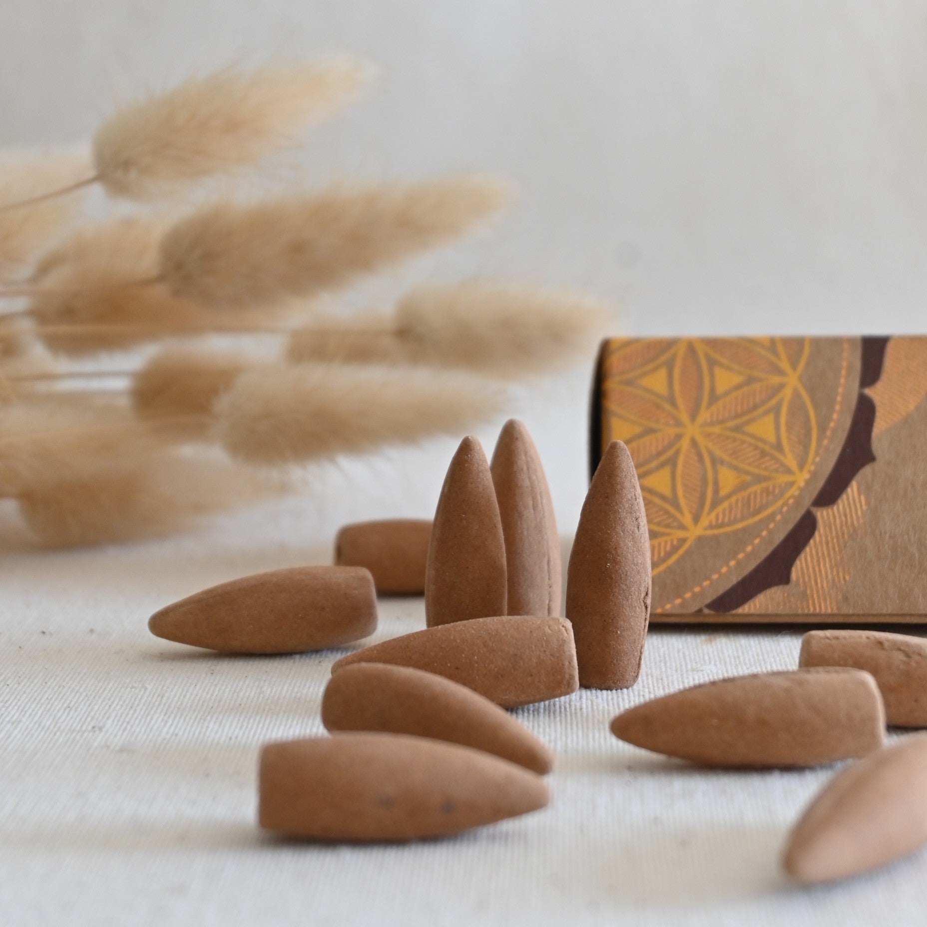 Conos de reflujo - Sándalo