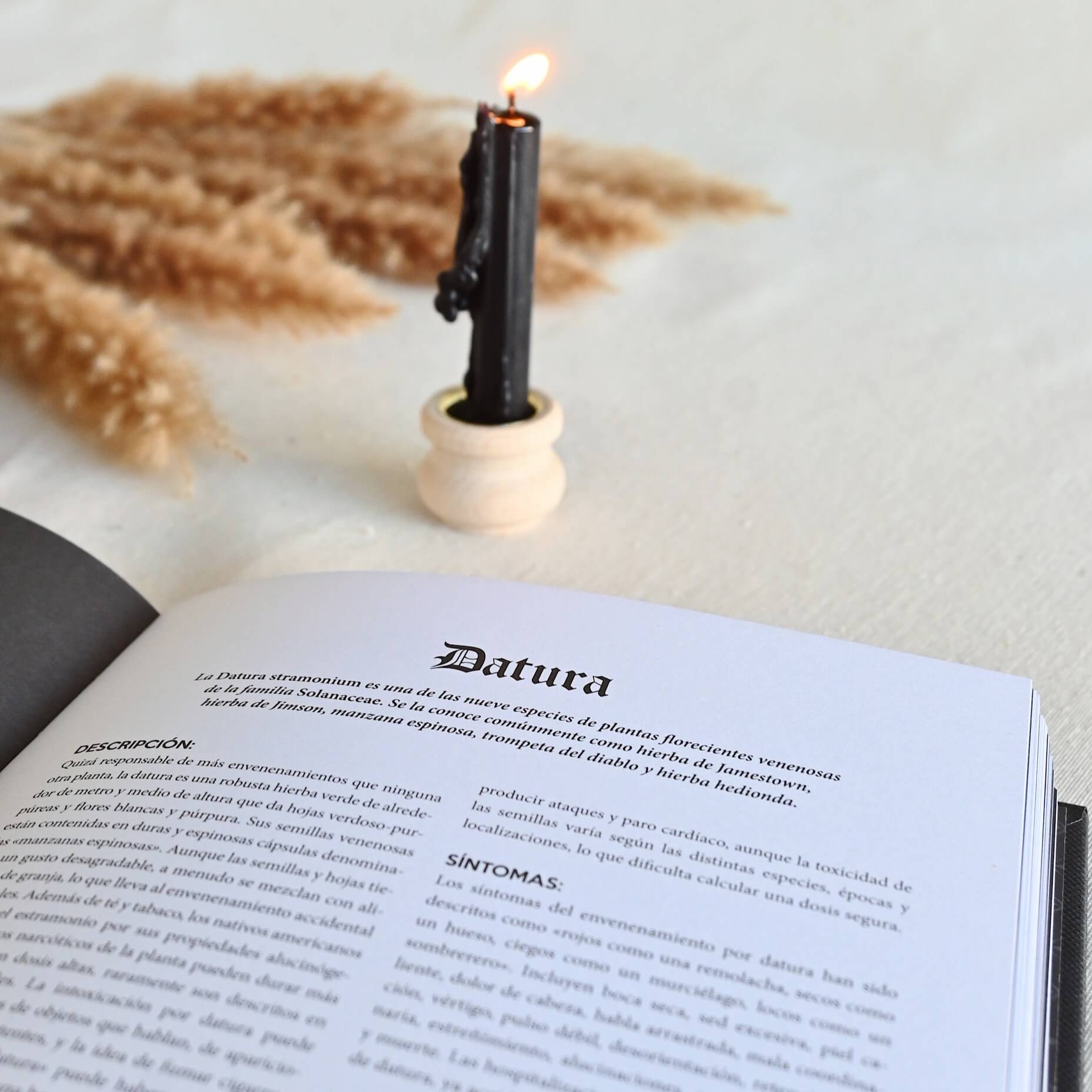 Venenos - La historia de las pociones, polvos y asesinos que los utilizaron