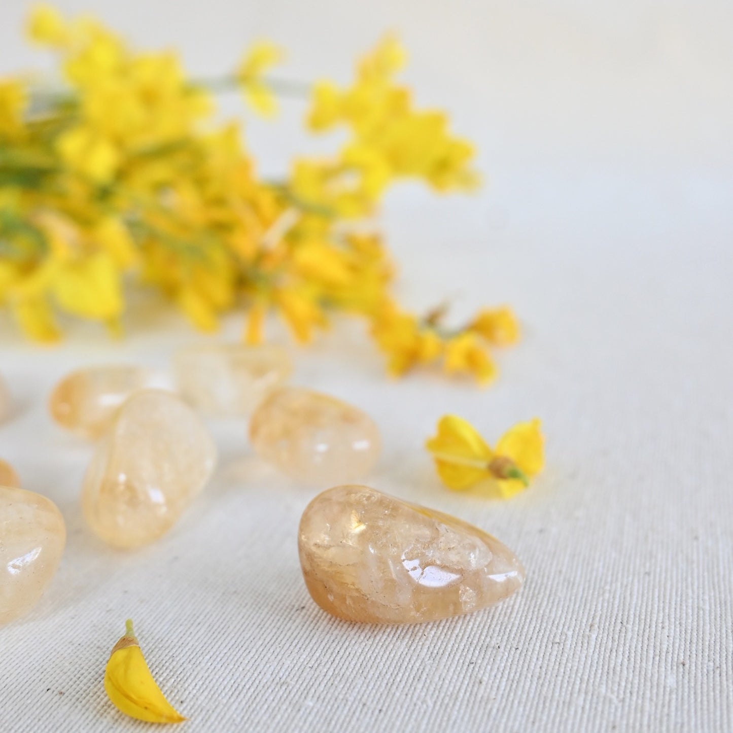 Citrino - Abundancia Solar & Energía vital