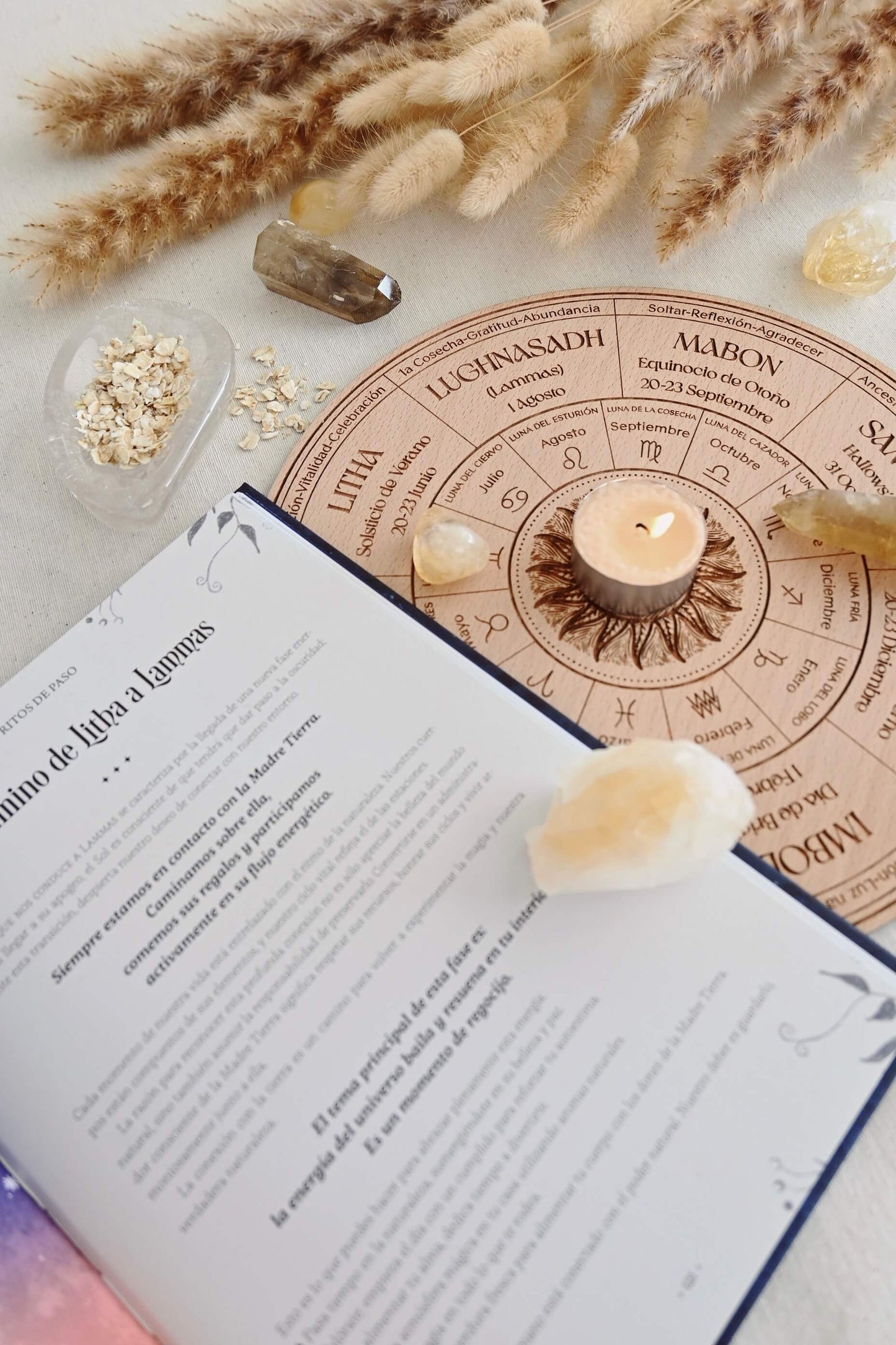 Rueda del Año – Ciclos Sagrados de Luz & Sombra