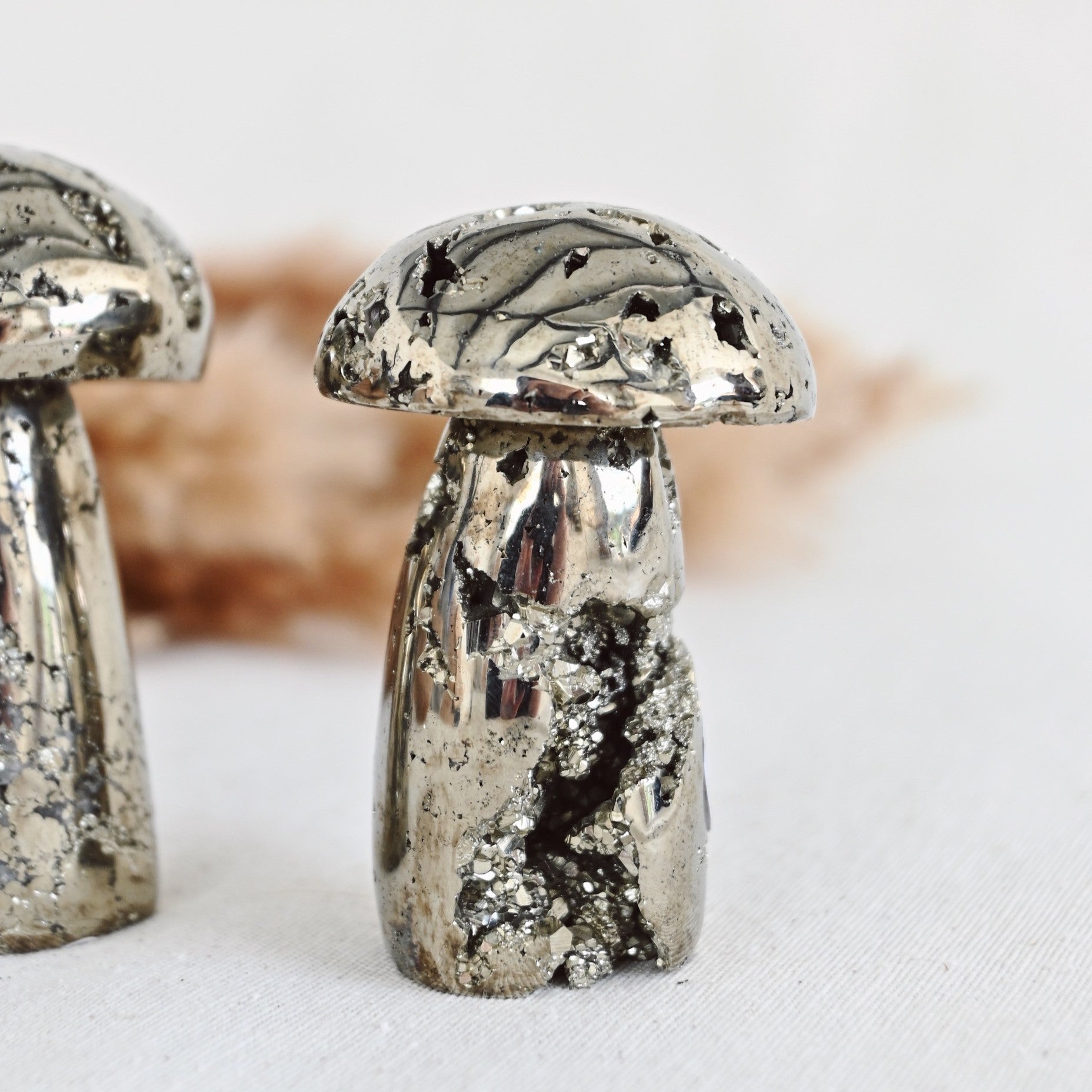 Seta de pirita - Abundancia & Éxito