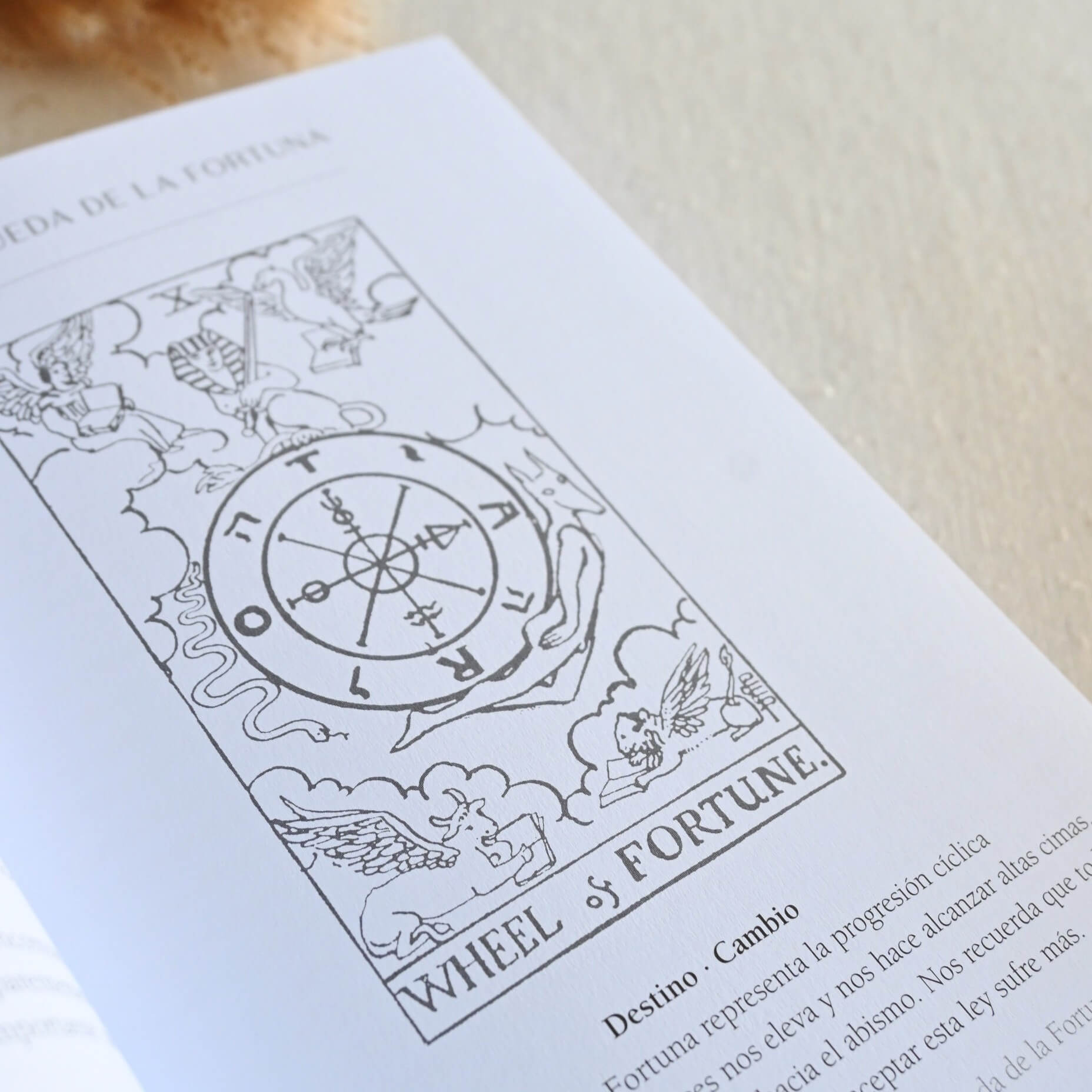 Libro - Tarot una carta al día - Una guía práctica e intuitiva
