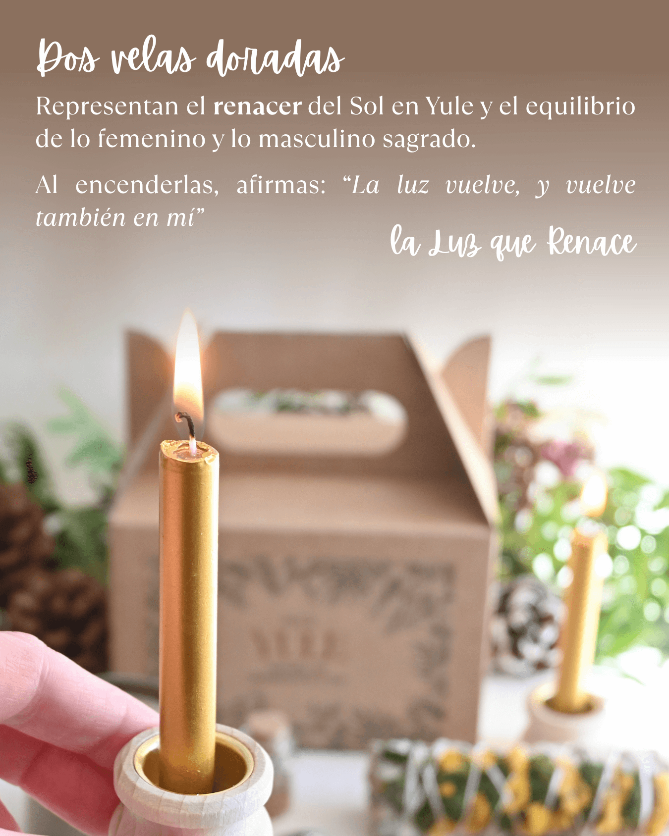 Pack ritual | Yule 🎄 Semilla de abundancia y luz