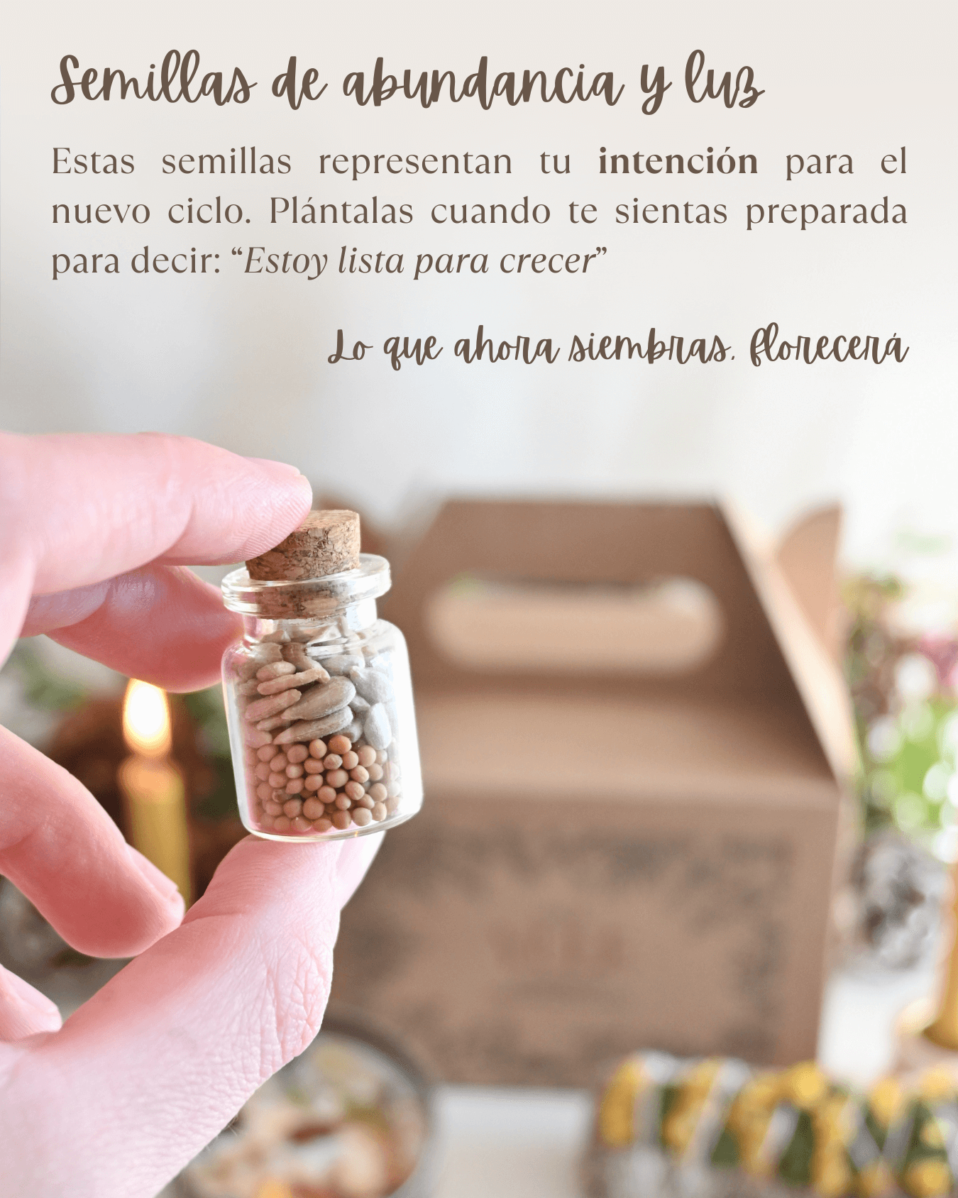 Pack ritual | Yule 🎄 Semilla de abundancia y luz