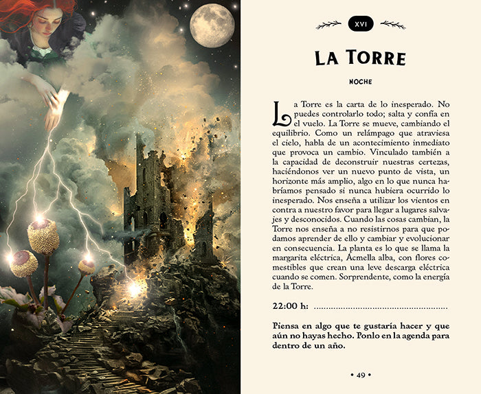 Tarot del Bosque oculto