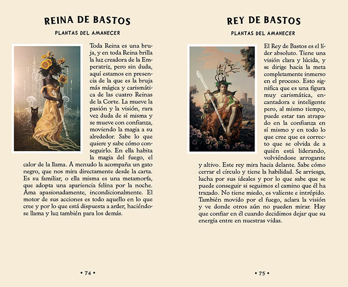 Tarot del Bosque oculto