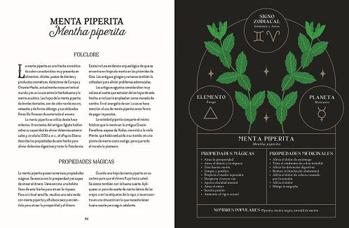 Guía de la bruja del bosque. Magia tradicional