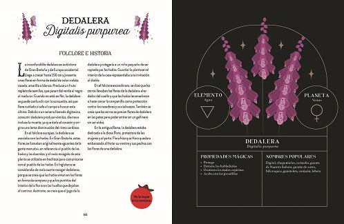 Guía de la bruja del bosque. Magia tradicional