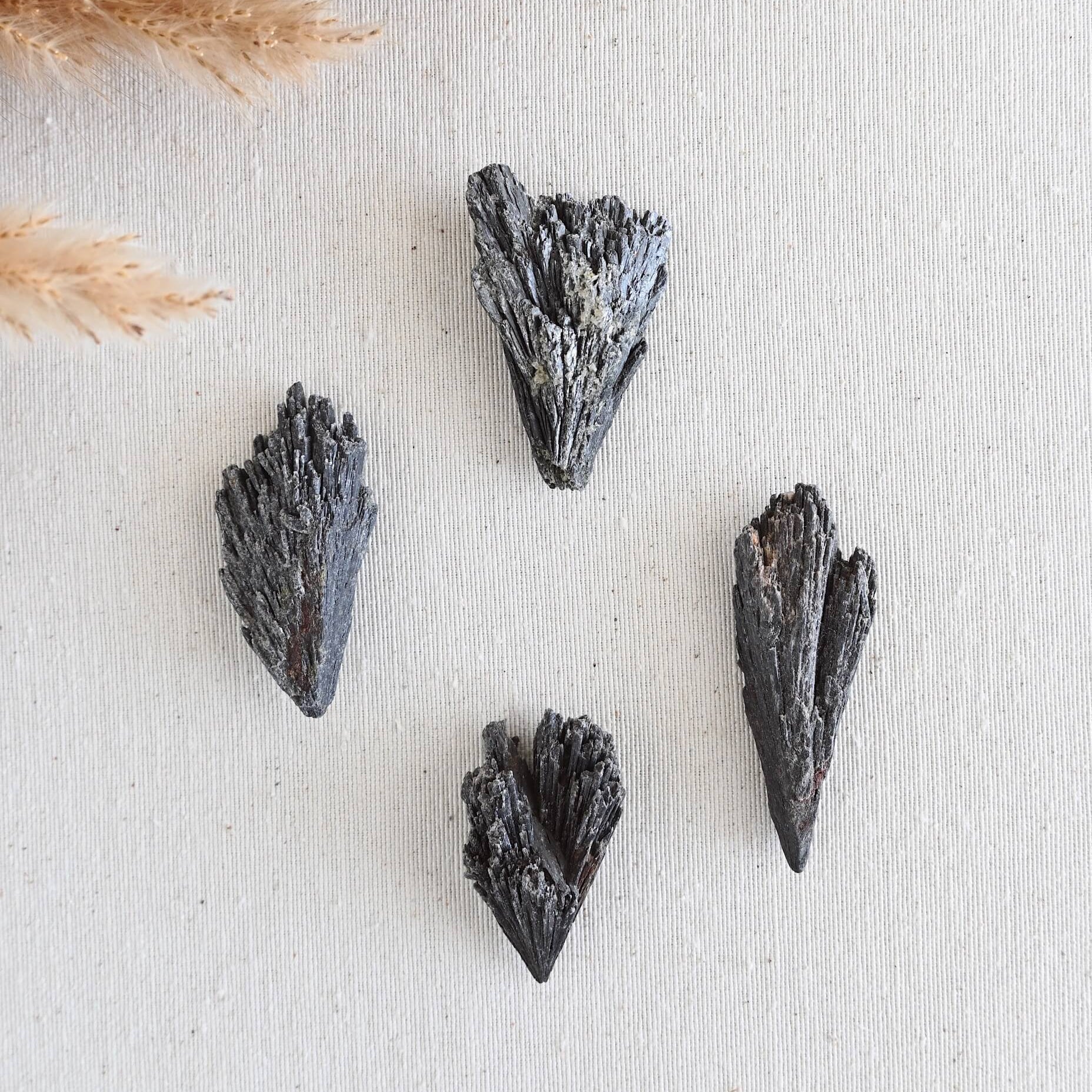 Cianita negra - Escoba de bruja