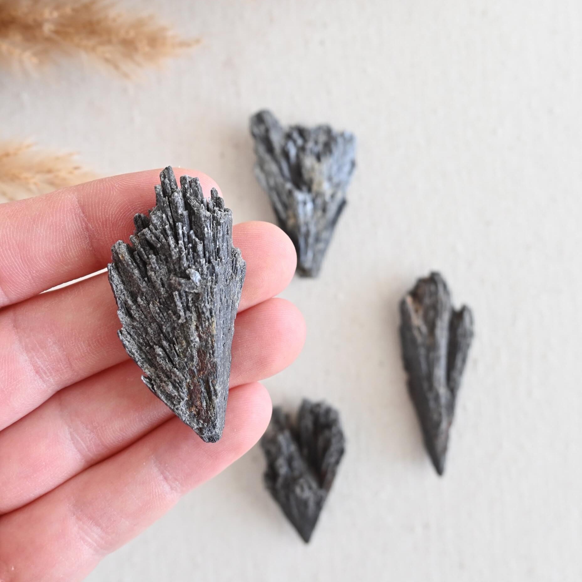 Cianita negra - Escoba de bruja