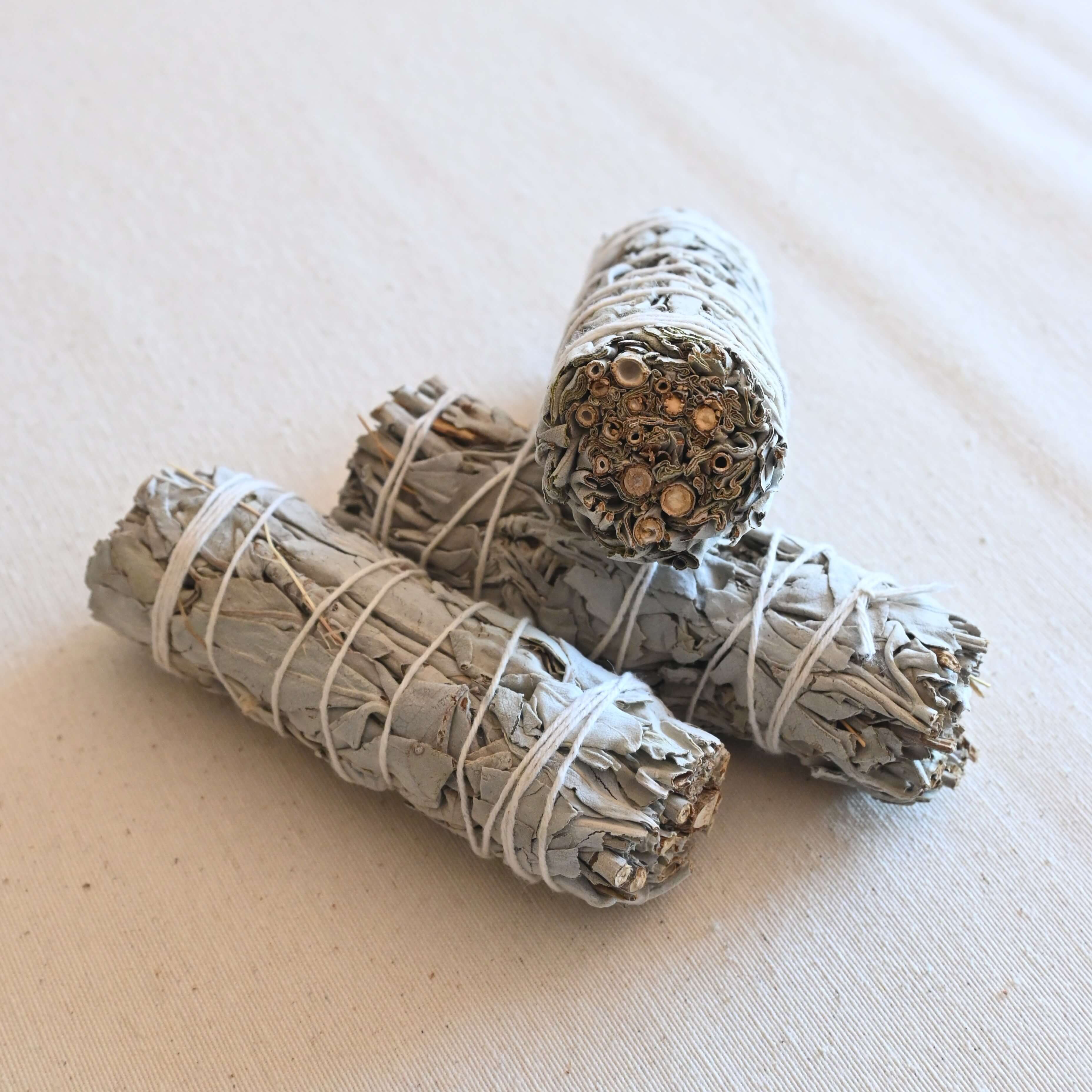 Atado de Salvia blanca - Limpieza & Purificación Energética