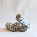 Atado de Salvia blanca - Limpieza & Purificación Energética