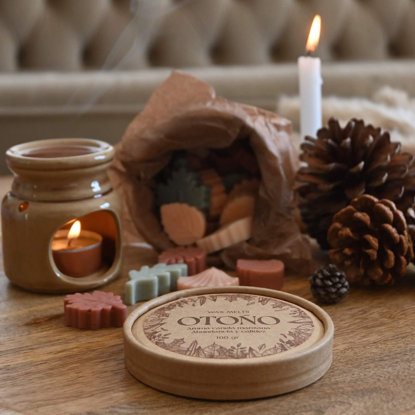 Wax melts artesanales | Manzana canela - Abundancia & calidez