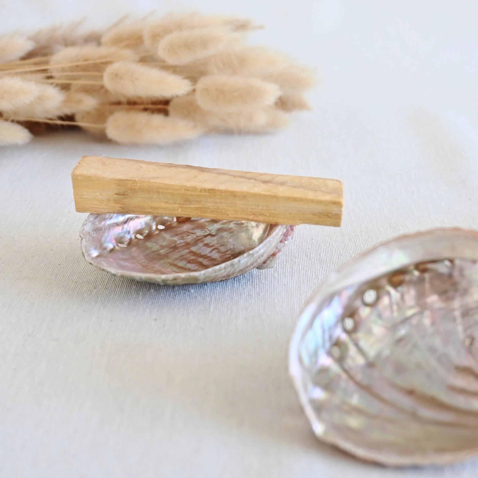 Concha de Abalón roscado grande – Elemento Agua