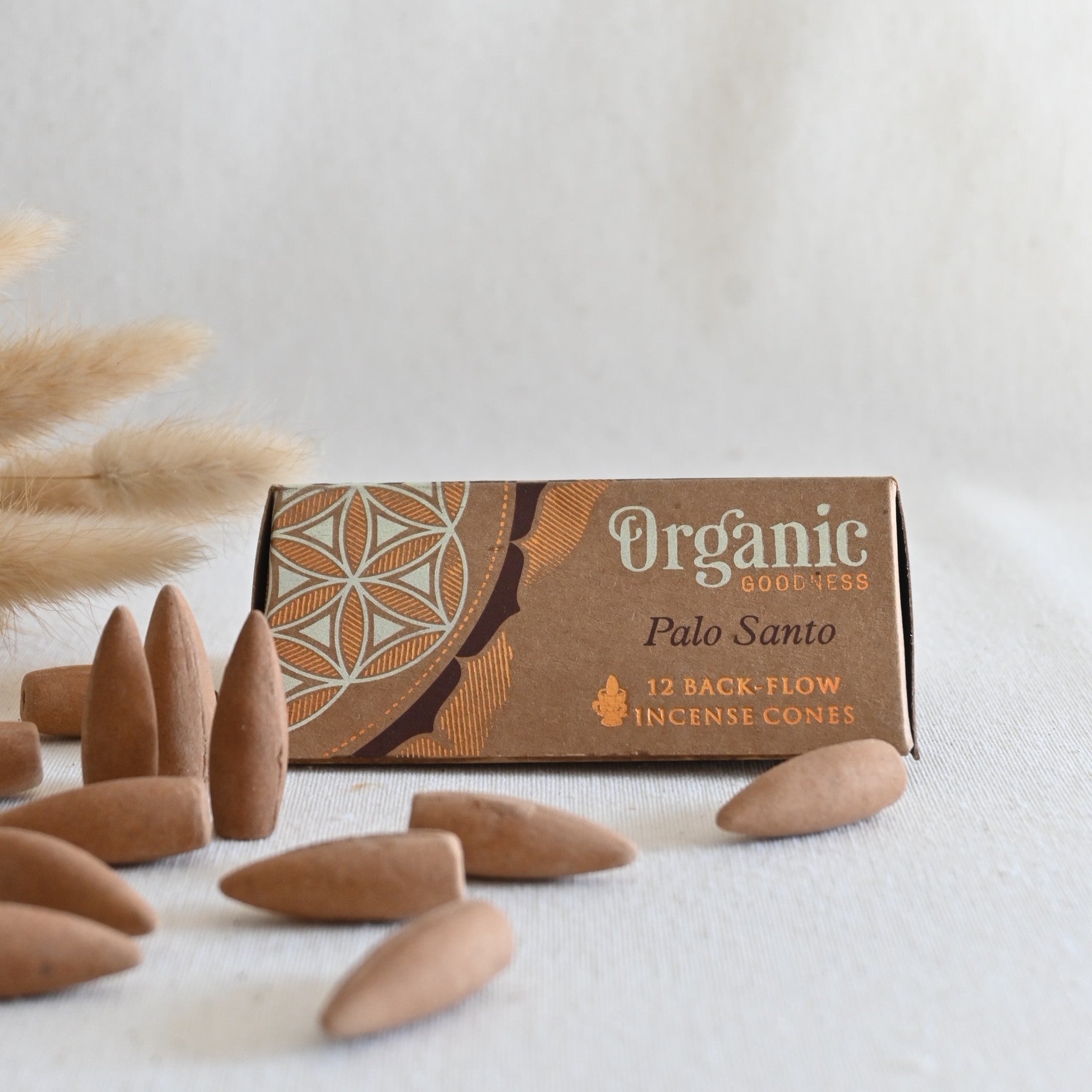 Conos de reflujo - Palo santo