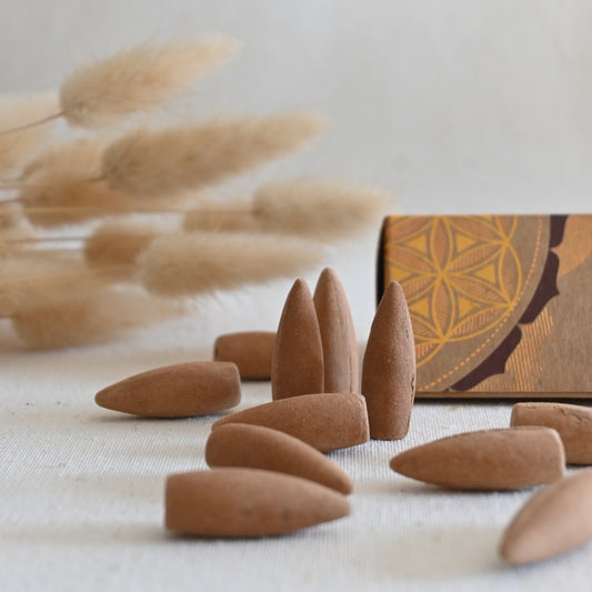 Conos de reflujo - Sándalo