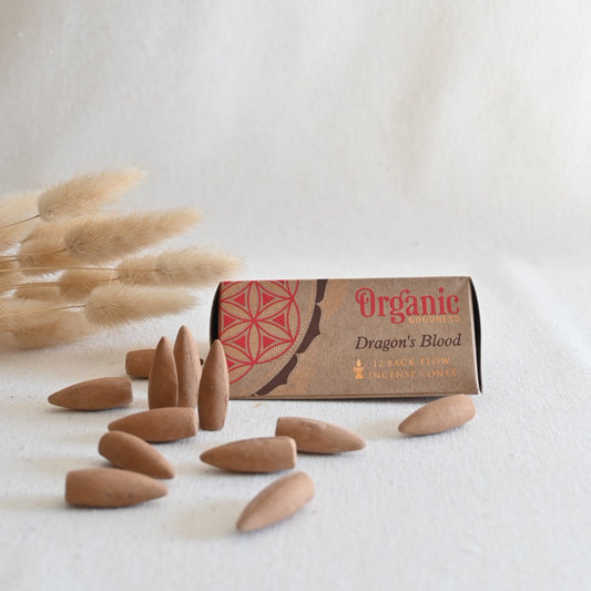 Conos de reflujo - Sangre de Dragón