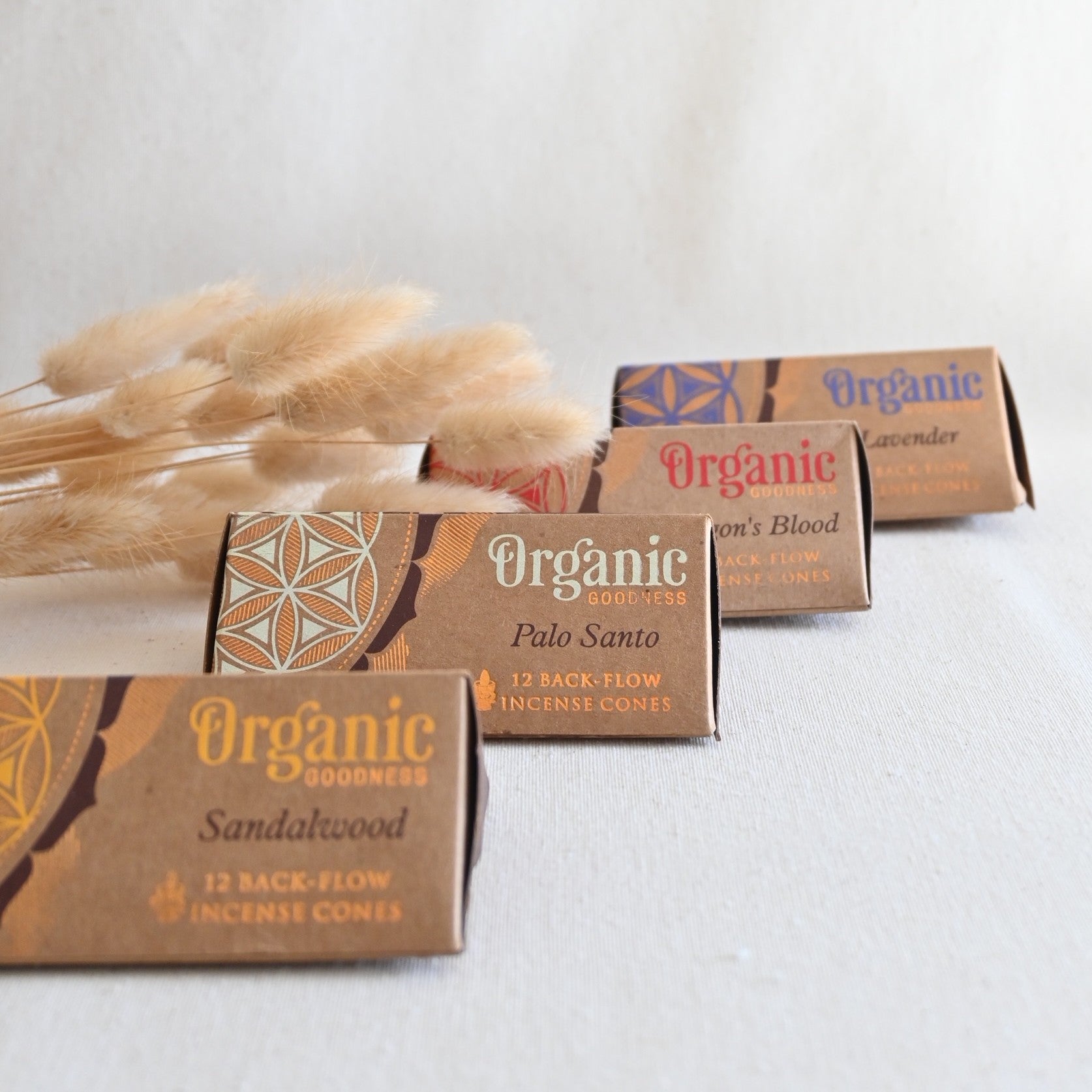 Conos de reflujo - Palo santo