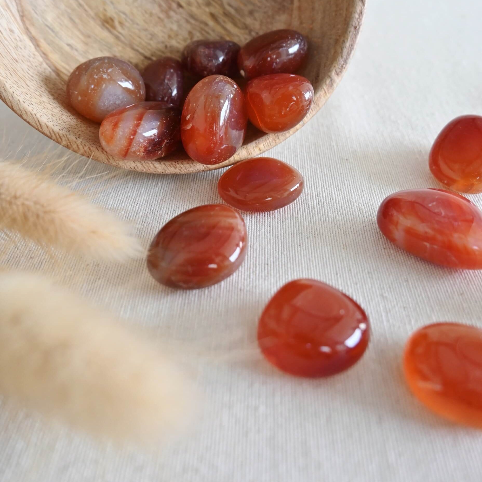 Cornalina - Fuerza vital, creatividad & energía en movimiento