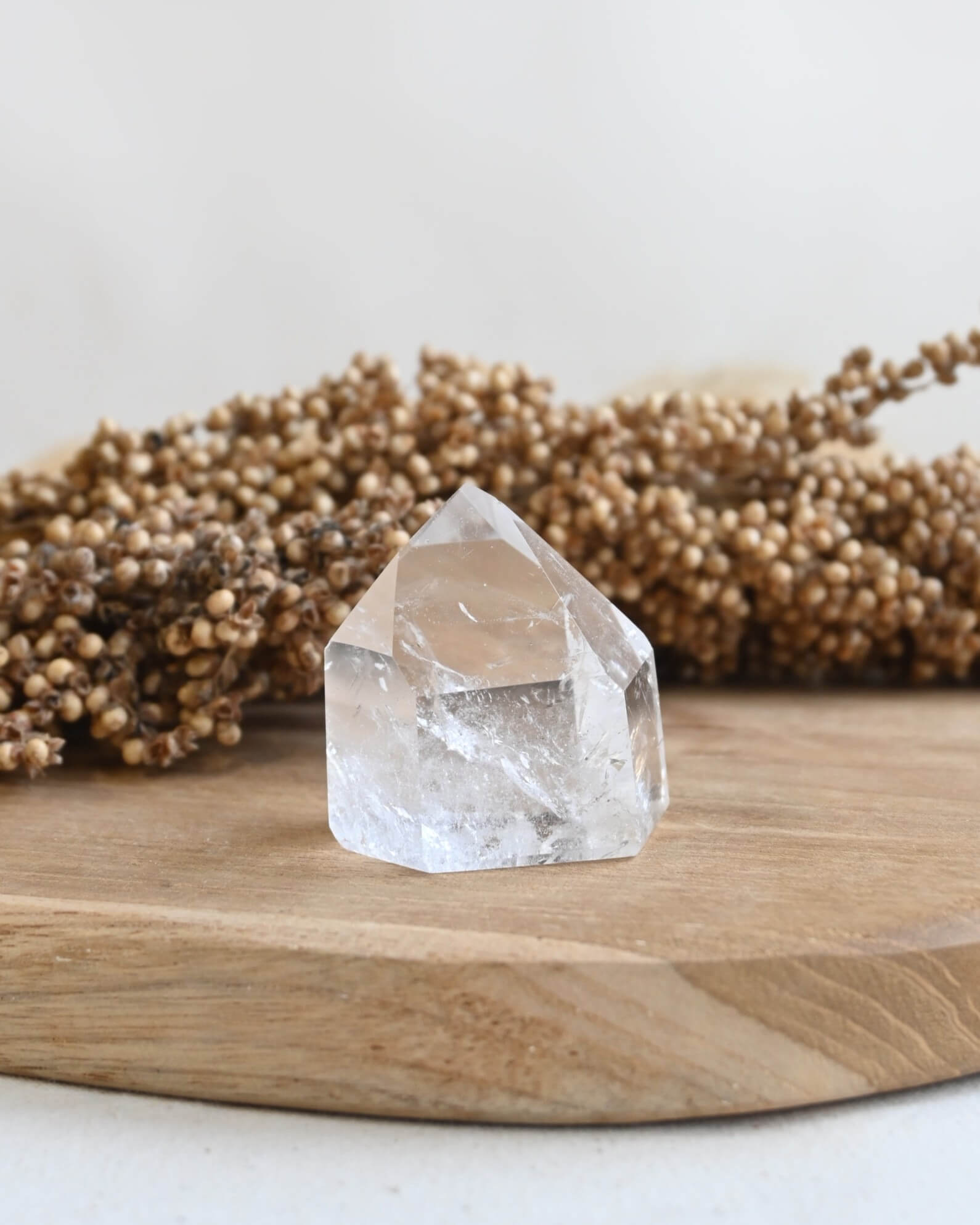 Punta de Cuarzo cristal | Amplificación de la energía