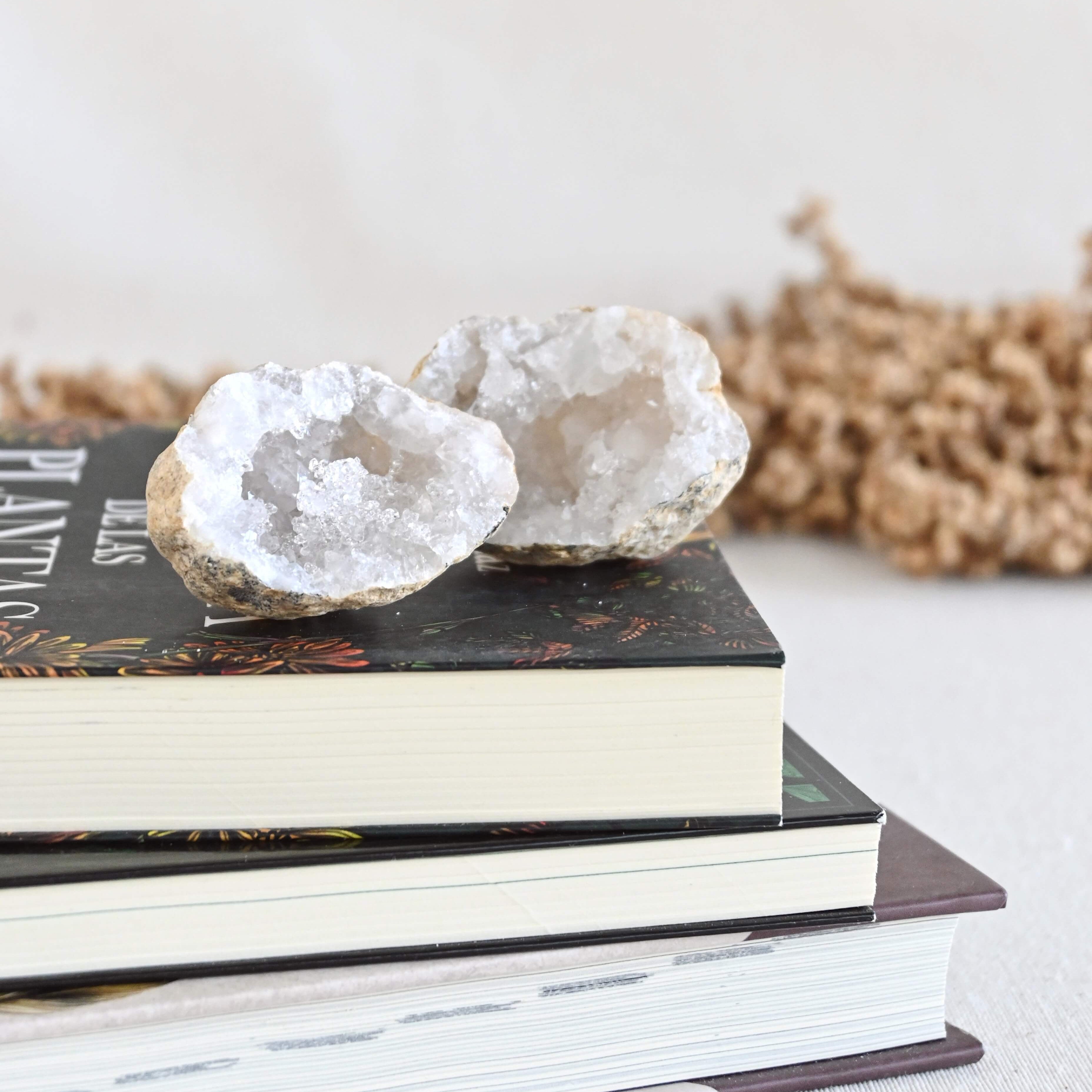 Geoda completa de Cuarzo Blanco pequeña - Armonía & purificación