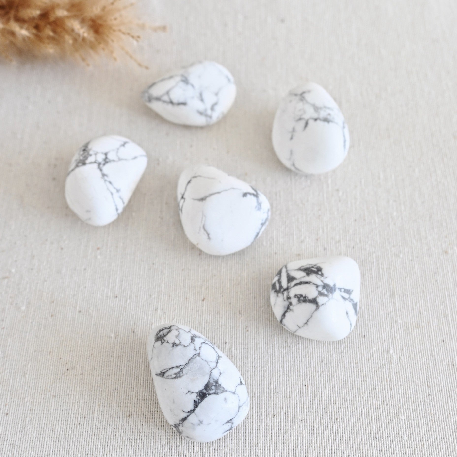 Howlita - Calma mental & Descanso del alma