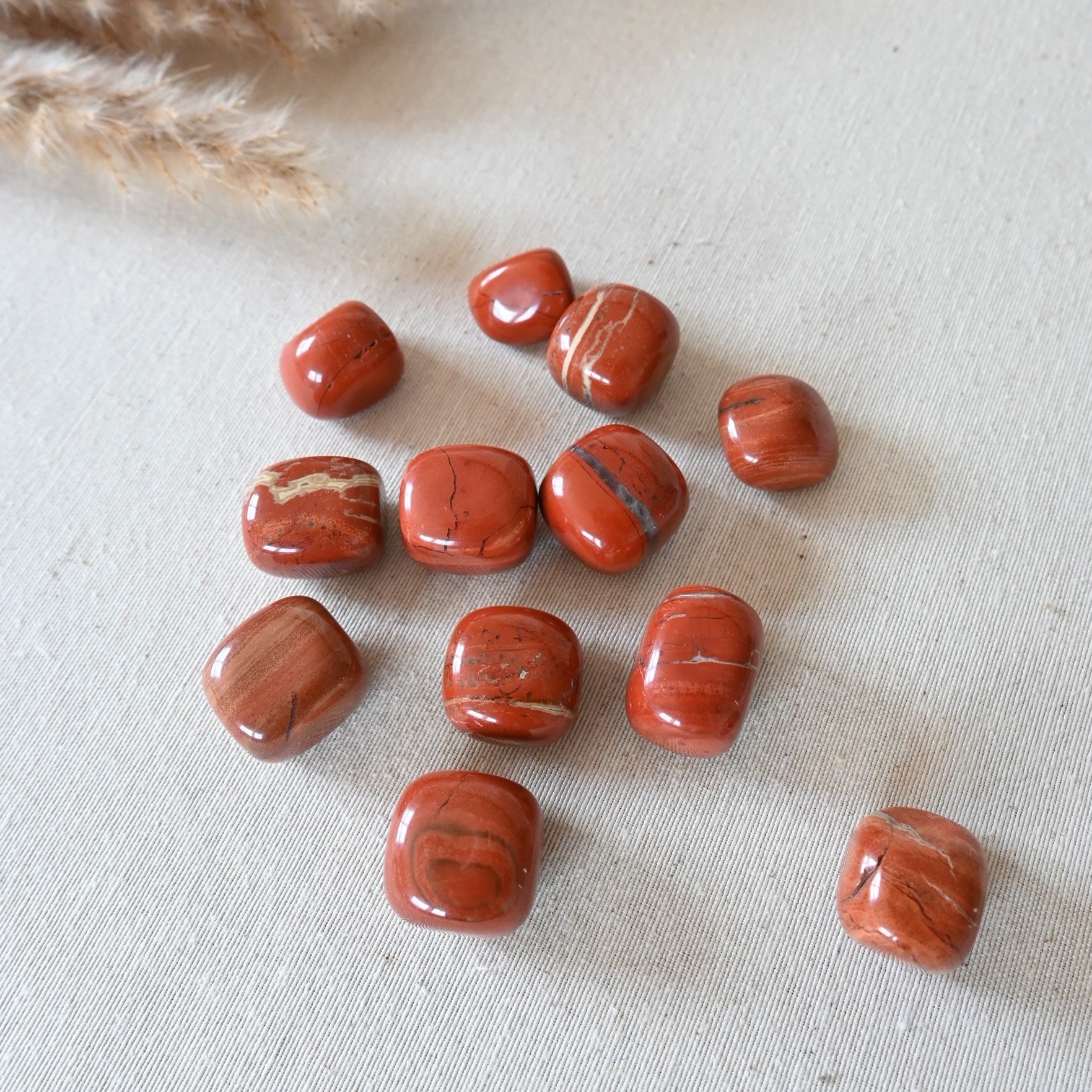 Jaspe Rojo – Enraizamiento, Fuerza & Protección