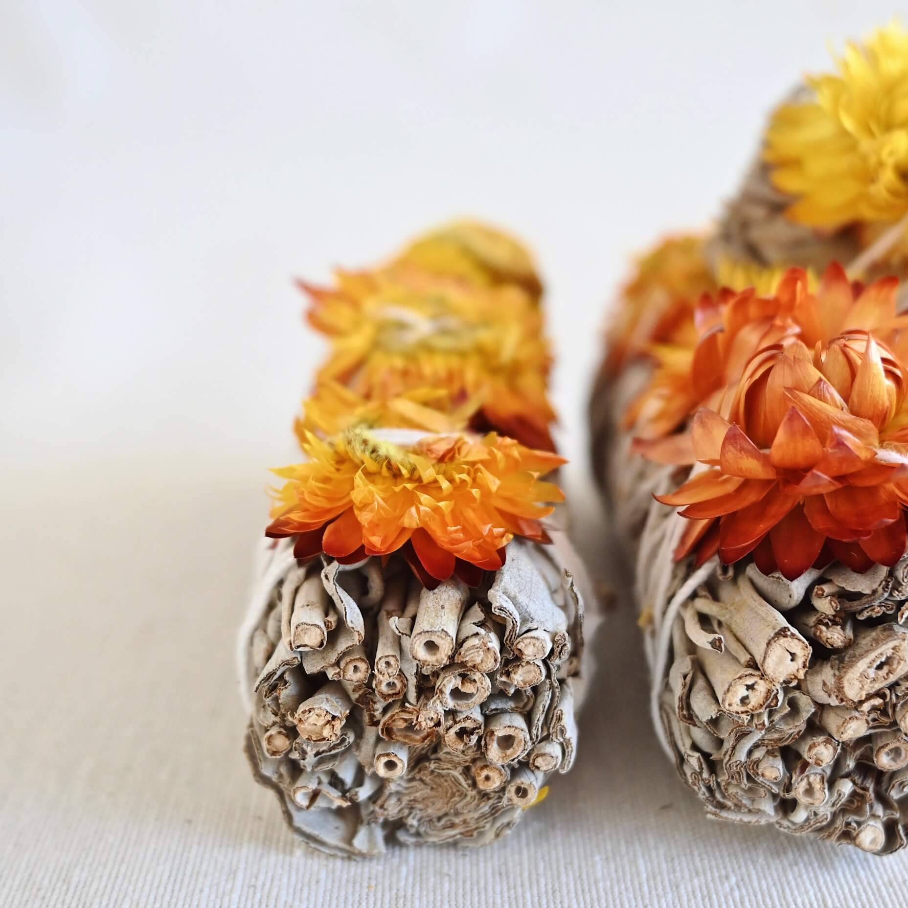 Salvia blanca con Siempreviva - Purificación, Energía & Protección