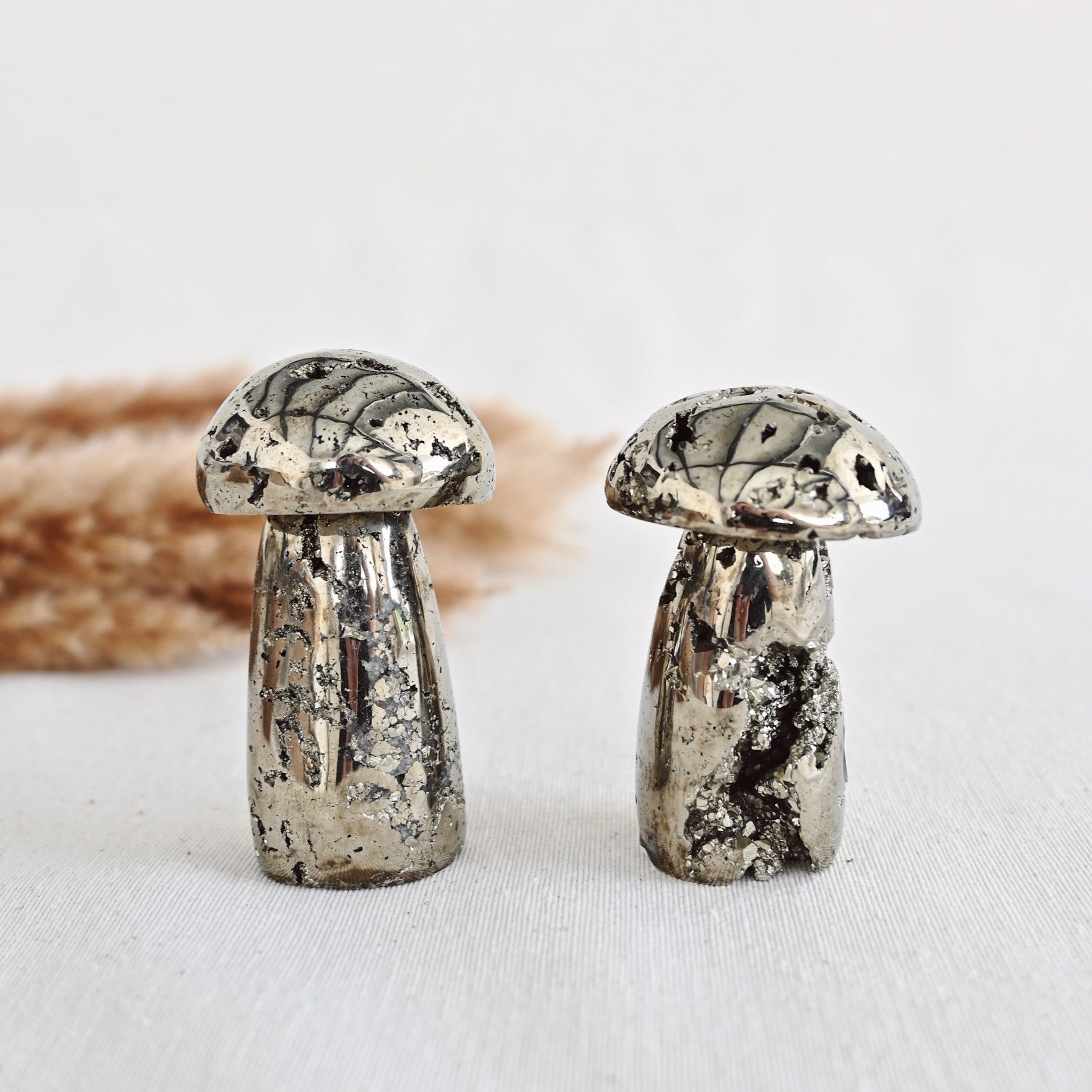 Seta de pirita - Abundancia & Éxito