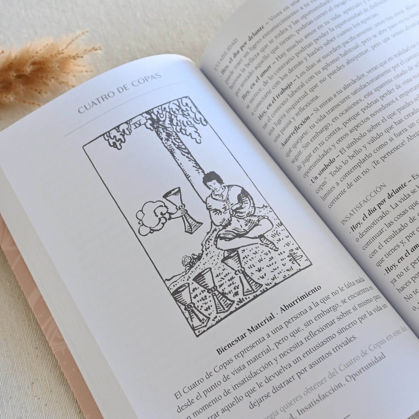 Libro - Tarot una carta al día - Una guía práctica e intuitiva