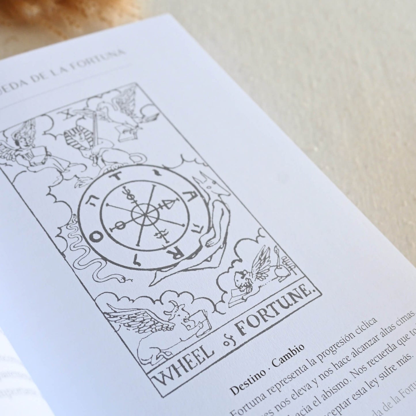 Libro - Tarot una carta al día - Una guía práctica e intuitiva