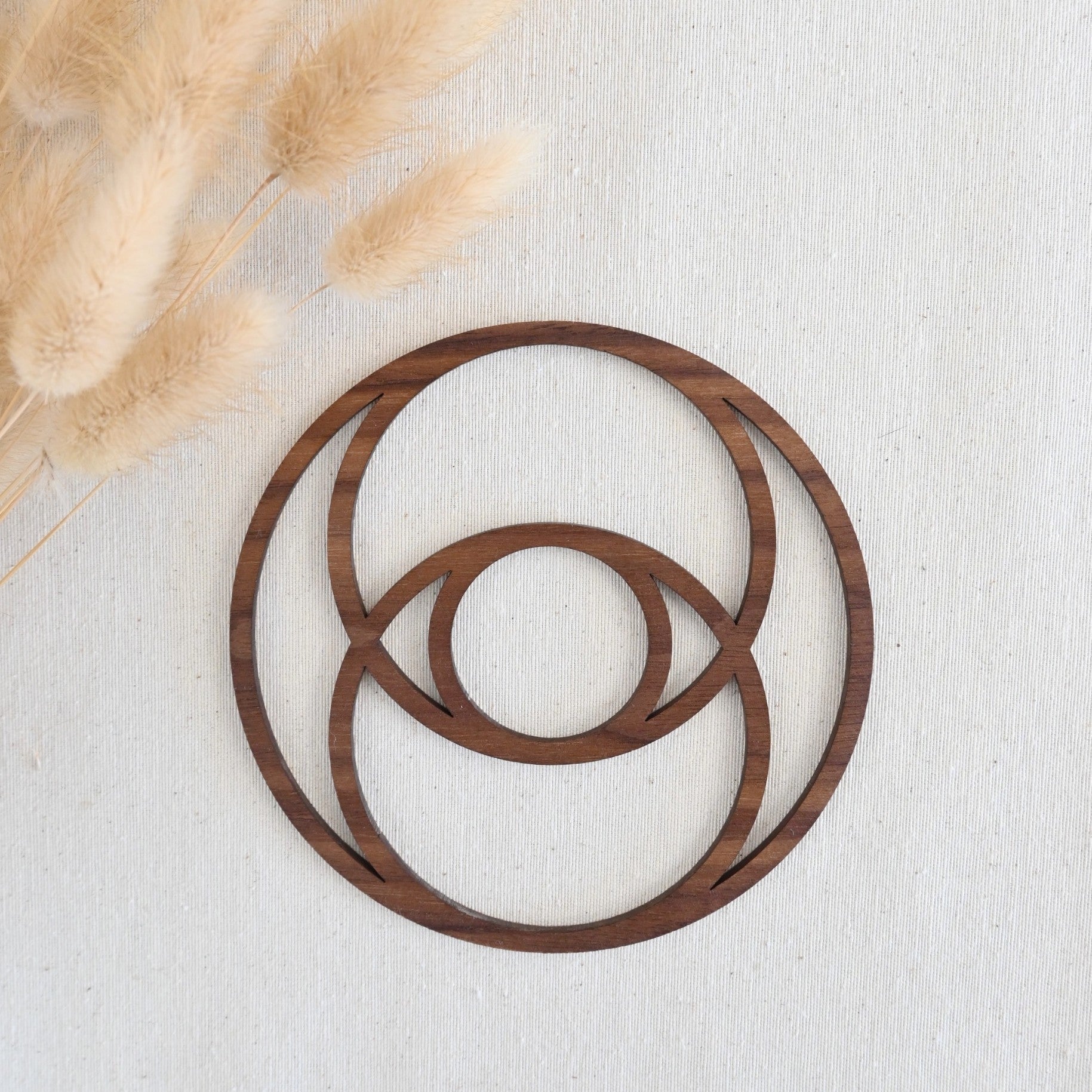 Vesica Piscis - Unión & Equilibrio