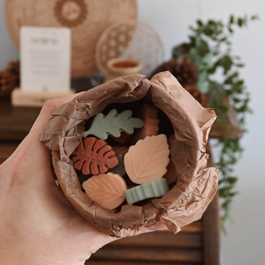 Wax melts artesanales | Manzana canela - Abundancia & calidez