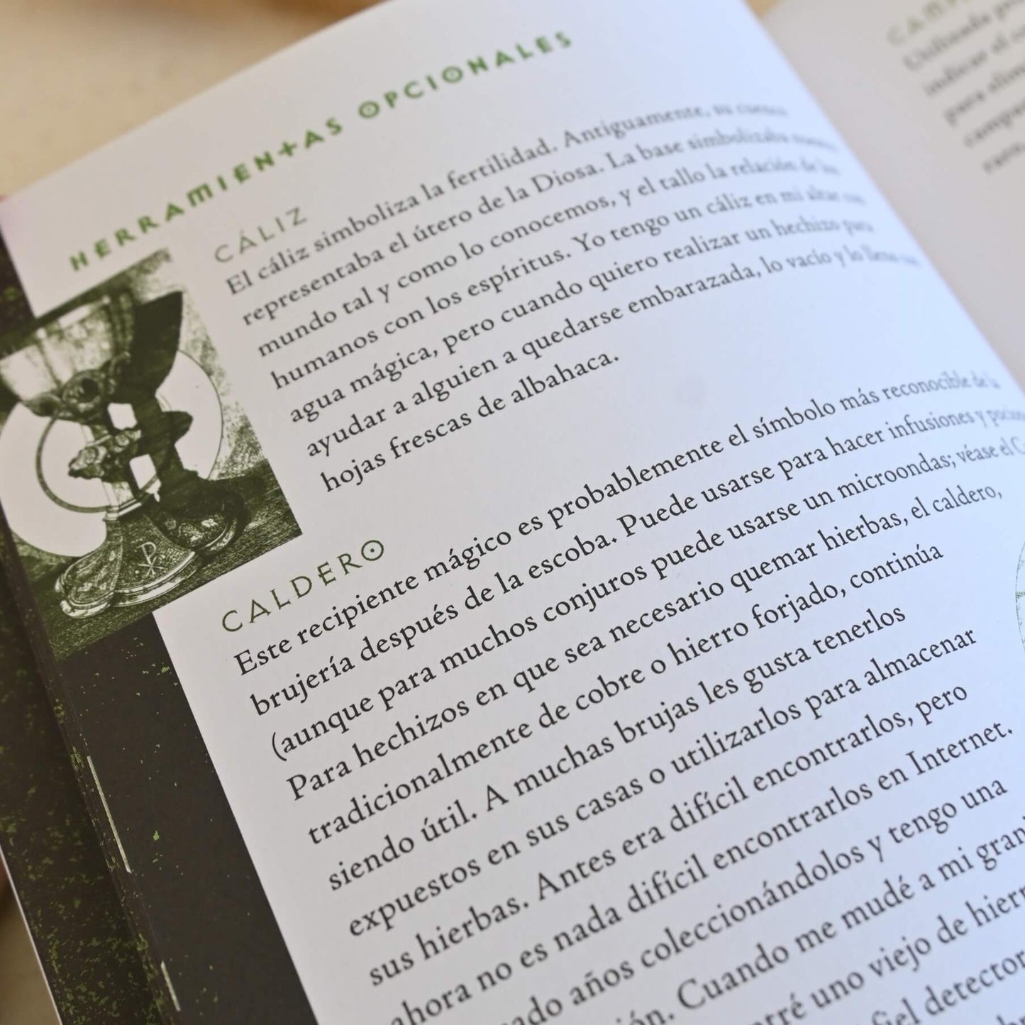 Wiccapedia - Una guía para brujas modernas